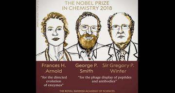 Nobel Kimya Ödülü 3 isme gitti