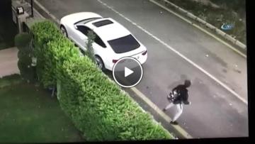 Sokak Köpeği Saldırınca Arabanın Üzerine Böyle Çıktı